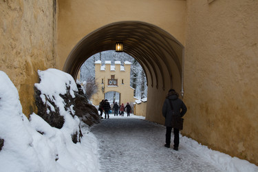 Similar image 13120467