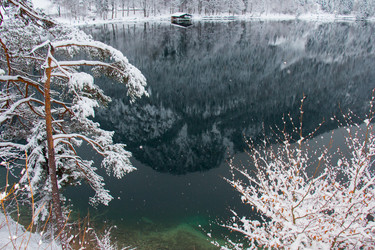 Similar image 13120473