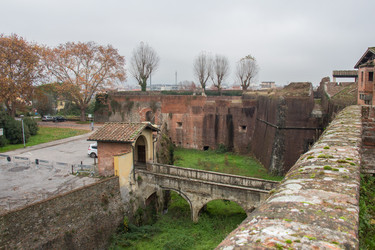 Similar image 13120494