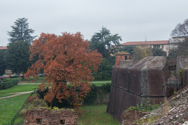 Similar image 13120498