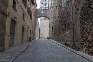 Similar image 13120503