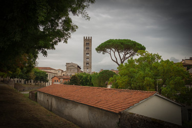 Similar image 13119401