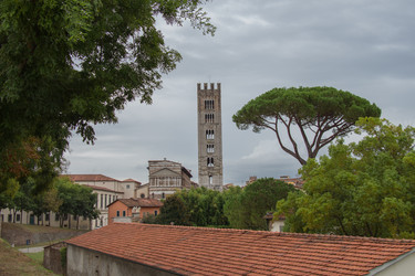 Similar image 13119404