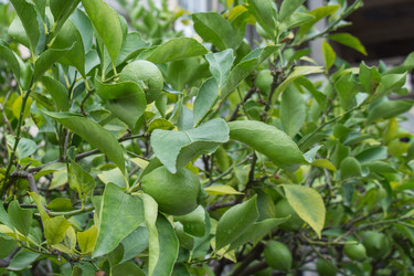 Similar image 13119408