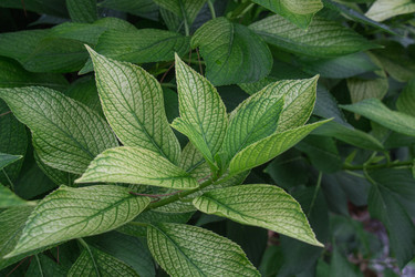 Similar image 13119409