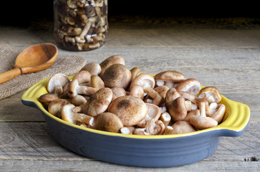 Similar image 13120453