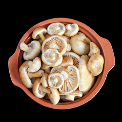 Similar image 13120455