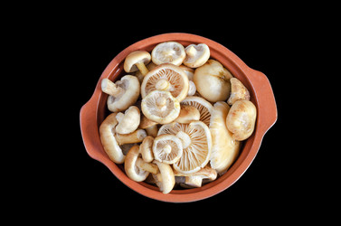 Similar image 13120656