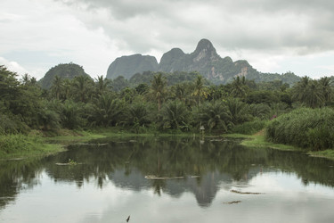 Similar image 13120689