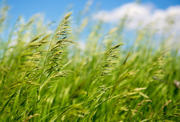 Similar image 13117595