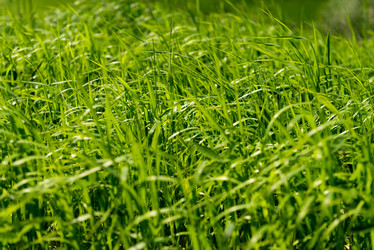 Similar image 13117596