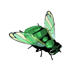 Similar image 13145321