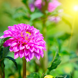 Similar image 13115034