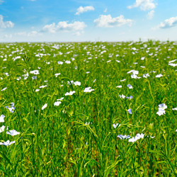 Similar image 13115061