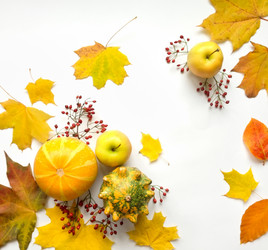 Similar image 13116634