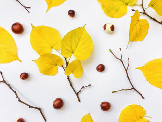 Similar image 13116640