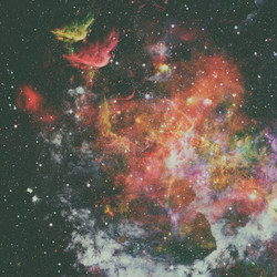 Similar image 13122618