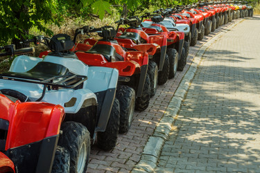 Similar image 13115609