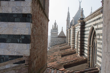 Similar image 13116459