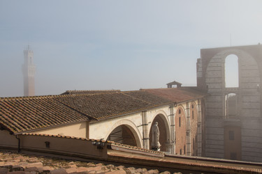 Similar image 13116462