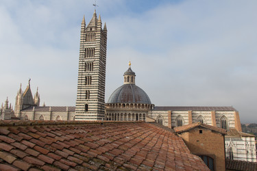 Similar image 13116464