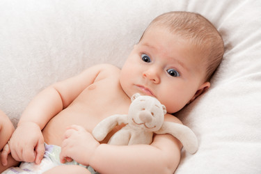 Similar image 13114210