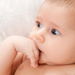 Similar image 13114211