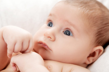 Similar image 13114215