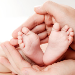 Similar image 13114273