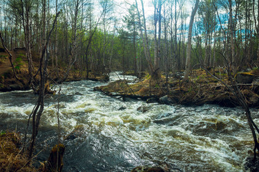 Similar image 13117575