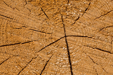 Similar image 13115990