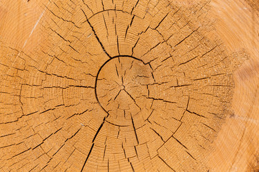 Similar image 13115991