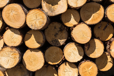 Similar image 13115988