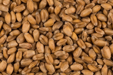 Similar image 13115684