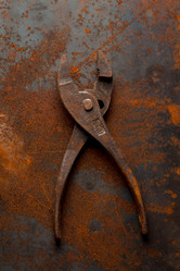 Similar image 13115721