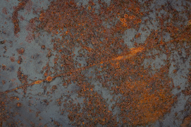 Similar image 13115722