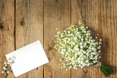 Similar image 13113625