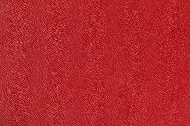 Similar image 13113629