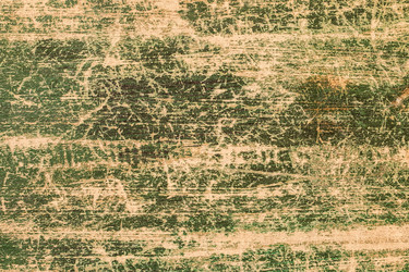 Similar image 13113630