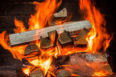 Similar image 13113634