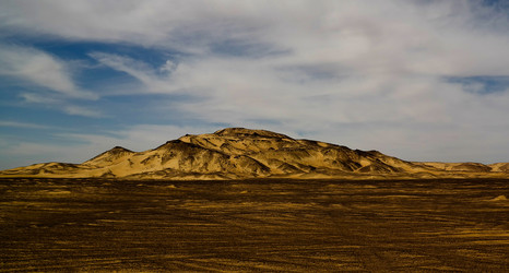 Similar image 13115475