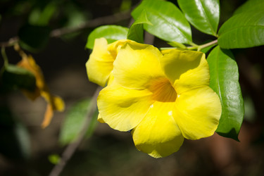 Similar image 13145150