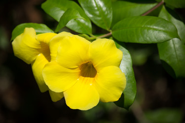 Similar image 13145151