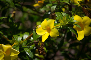 Similar image 13145152