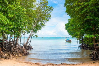 Similar image 13119792