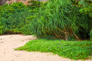 Similar image 13119795