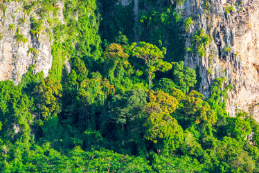 Similar image 13119806