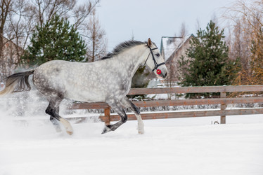 Similar image 13119814