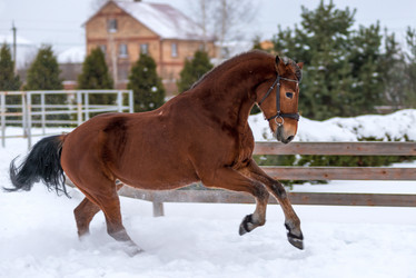 Similar image 13119816