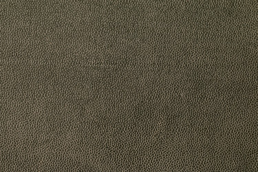 Similar image 13113665